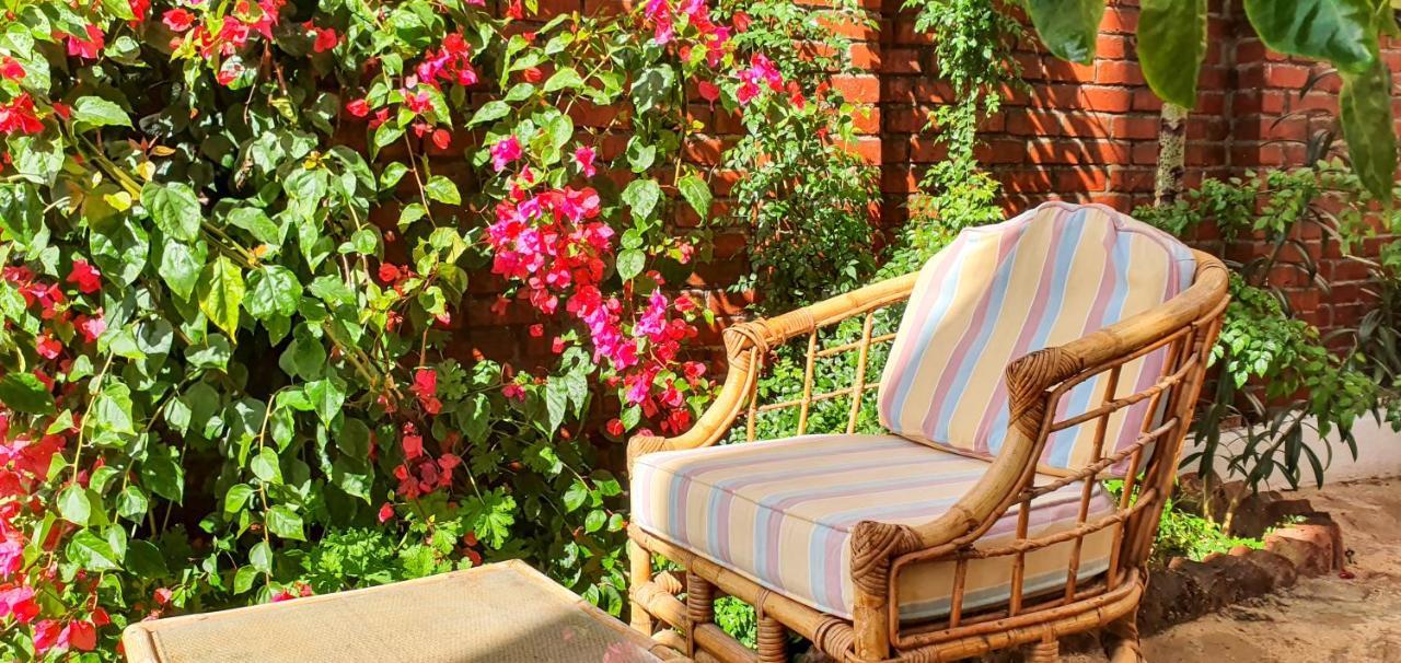 Dar Lina Guesthouse Luxor Exterior photo