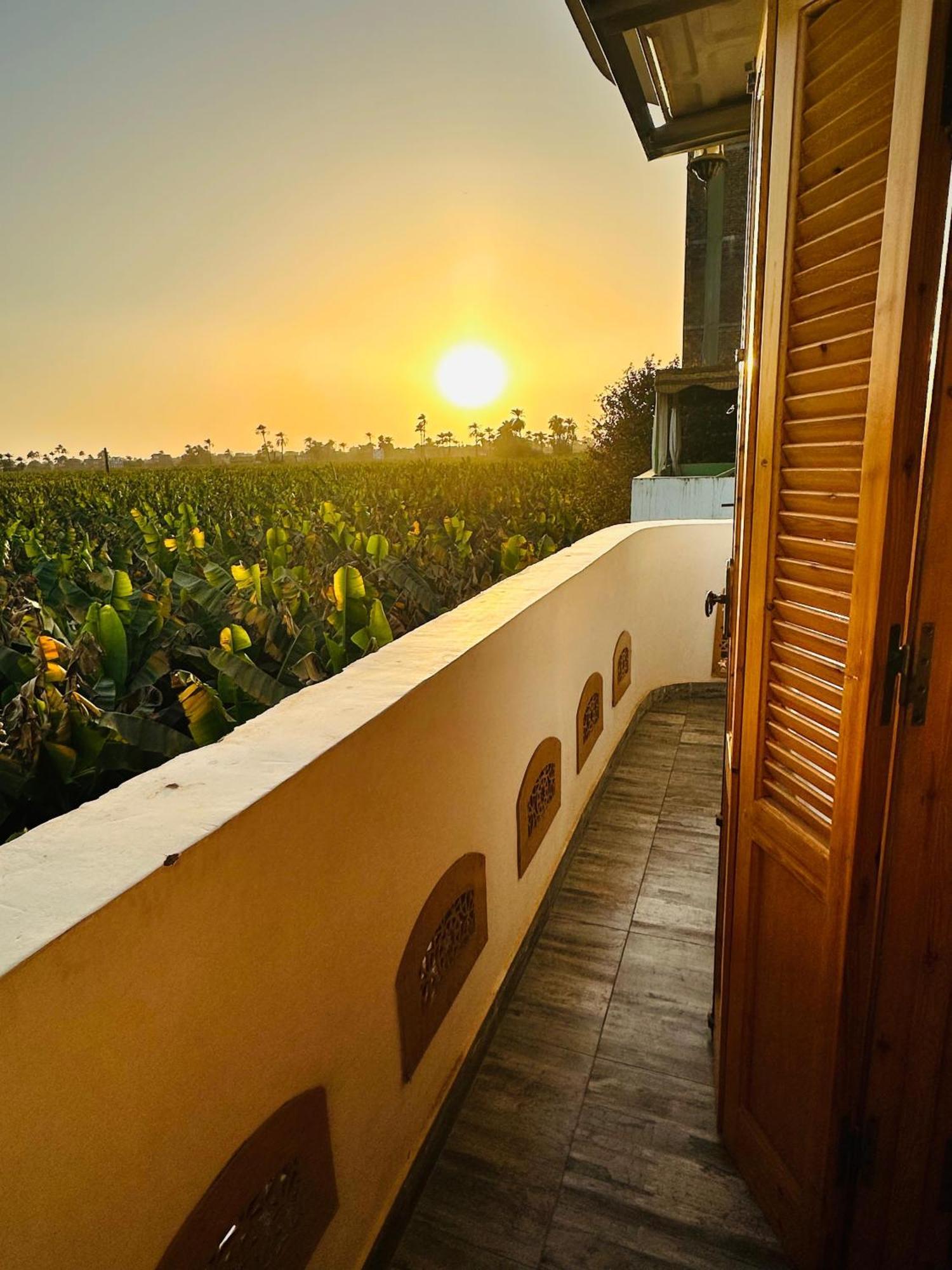 Dar Lina Guesthouse Luxor Exterior photo